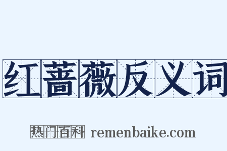 红蔷薇反义词是什么意思的图片